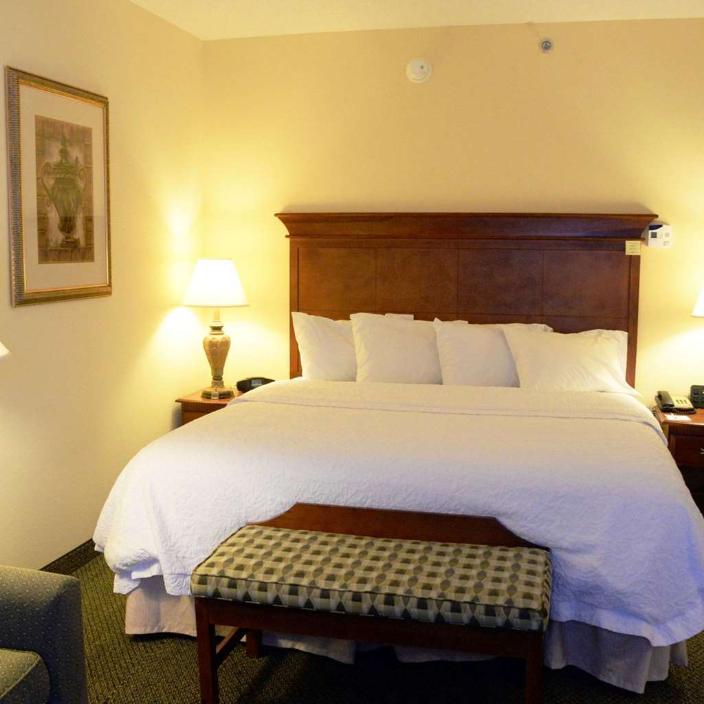 Hampton Inn & Suites Birmingham-Hoover-Galleria Номер фото
